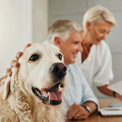 Personas acariciando un perro