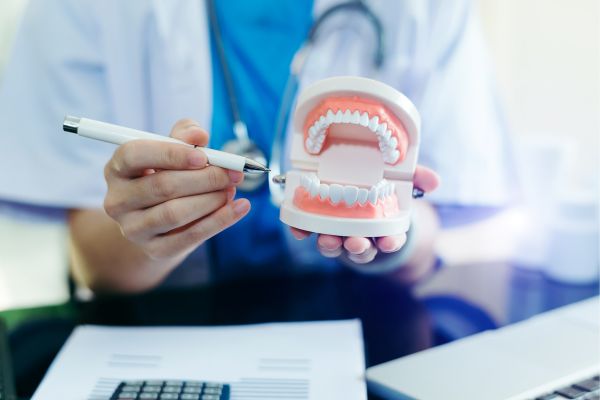 1080x600 Profesional de la salud dental sujetando maqueta de boca